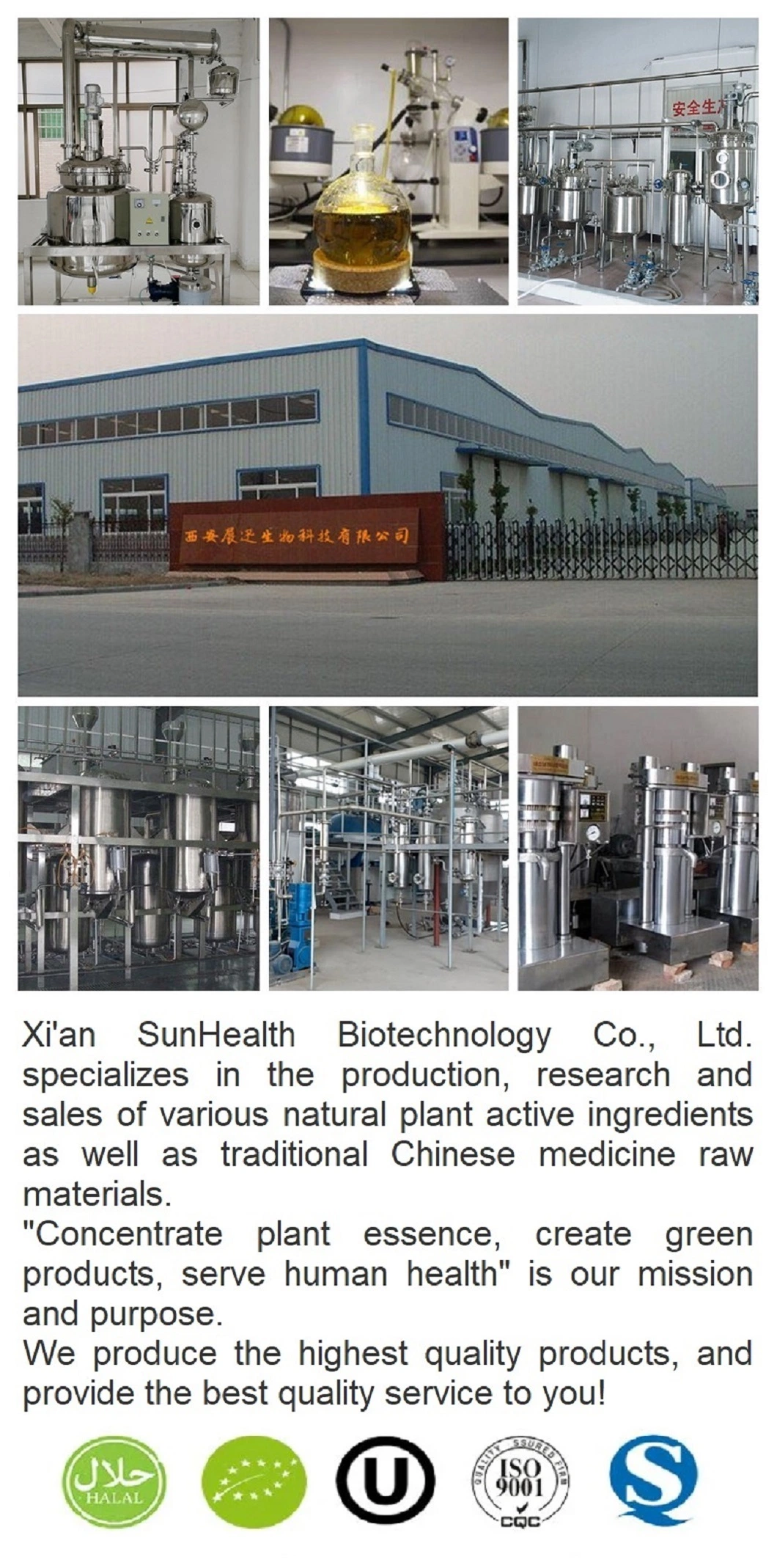 High Grade Ginseng Extract Ginseng Root Extract Panax Ginseng Extract Ginsenoside