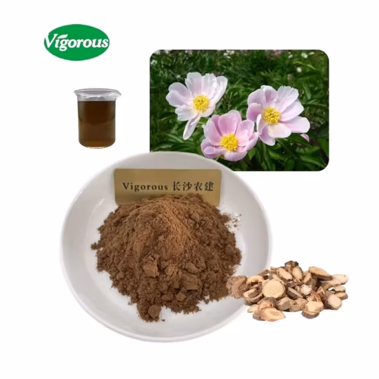 Chinese Traditional Herb Dandelion Flavone Dandelion Root Extract Dandelion Extract